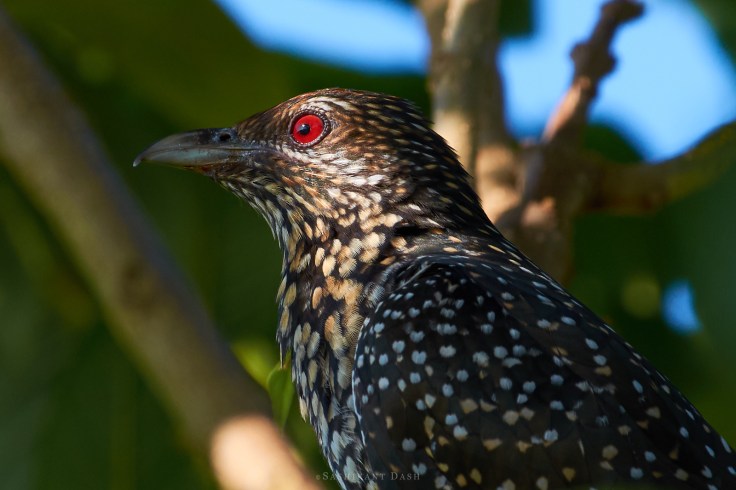 DSC_0168_WM_1600px 1