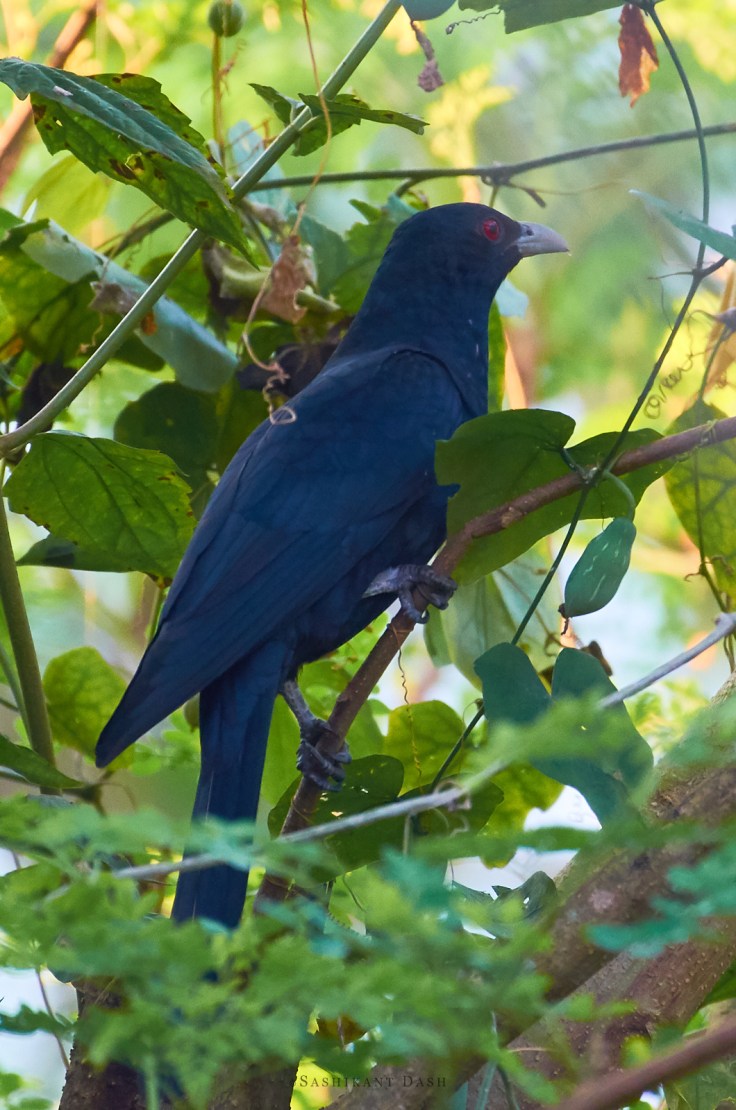 DSC_0218_WM_1600px 1