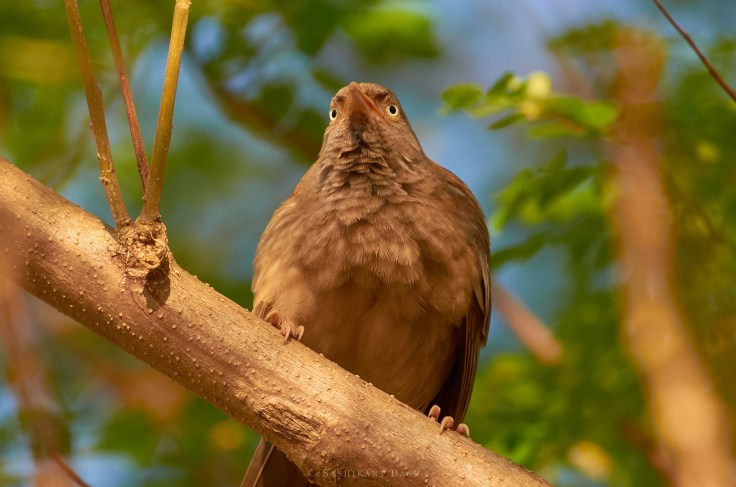 DSC_0270_WM_1600px 1